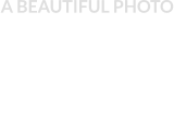 A BEAUTIFUL PHOTO